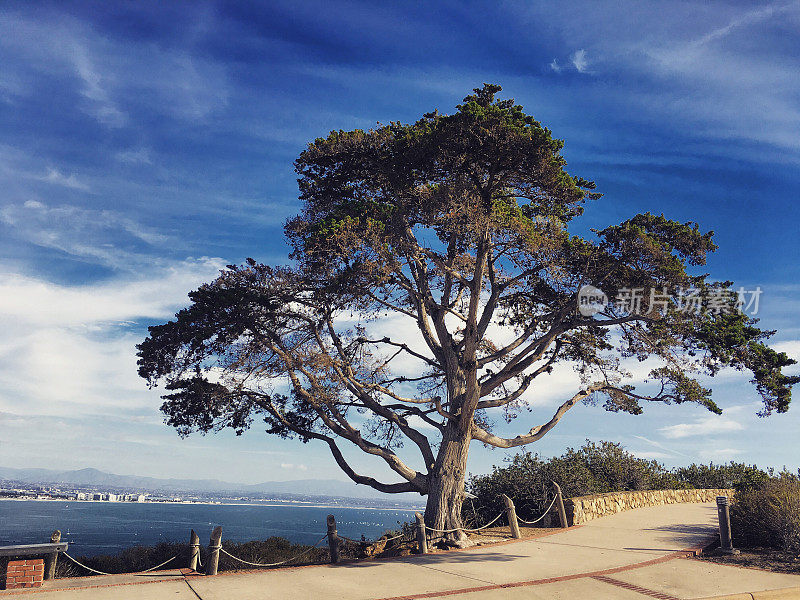 Point Loma景观，圣地亚哥，美国